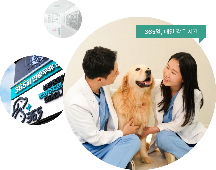 365일, 매일 같은 시간