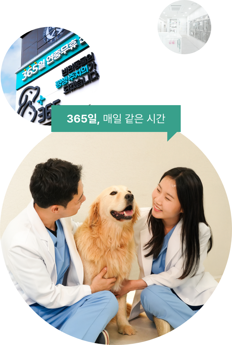 365일, 매일 같은 시간